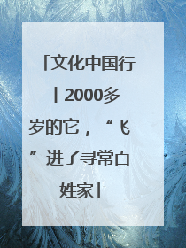 文化中国行丨2000多岁的它，“飞”进了寻常百姓家