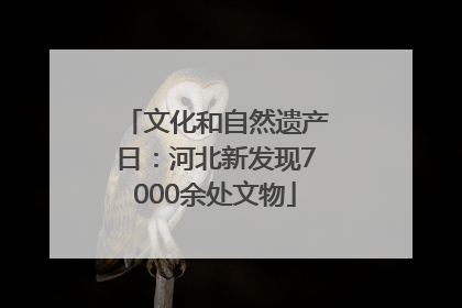 文化和自然遗产日：河北新发现7000余处文物
