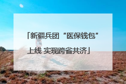 新疆兵团“医保钱包”上线 实现跨省共济