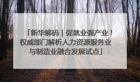 新华解码｜促就业强产业！权威部门解析人力资源服务业与制造业融合发展试点