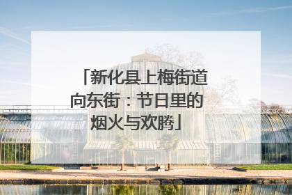 新化县上梅街道向东街：节日里的烟火与欢腾