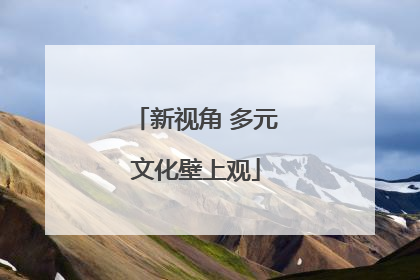 新视角 多元文化壁上观