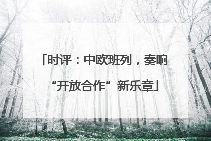 时评：中欧班列，奏响“开放合作”新乐章