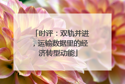 时评：双轨并进，运输数据里的经济转型动能