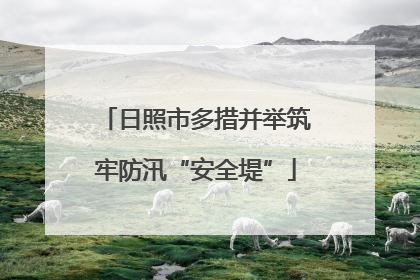 日照市多措并举筑牢防汛“安全堤”