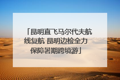 昆明直飞马尔代夫航线复航 昆明边检全力保障暑期跨境游