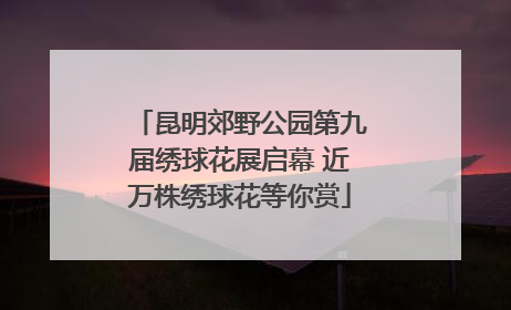 昆明郊野公园第九届绣球花展启幕 近万株绣球花等你赏