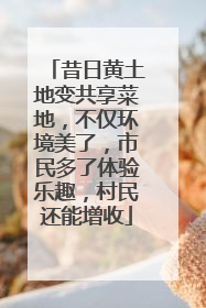 昔日黄土地变共享菜地，不仅环境美了，市民多了体验乐趣，村民还能增收