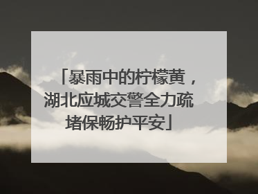 暴雨中的柠檬黄，湖北应城交警全力疏堵保畅护平安