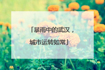 暴雨中的武汉，城市运转如常