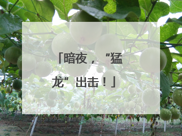 暗夜，“猛龙”出击！