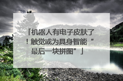 机器人有电子皮肤了！触觉或为具身智能“最后一块拼图”