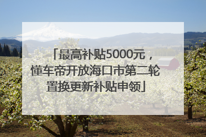 最高补贴5000元，懂车帝开放海口市第二轮置换更新补贴申领
