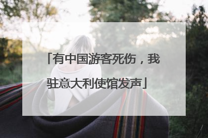 有中国游客死伤，我驻意大利使馆发声
