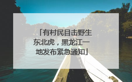 有村民目击野生东北虎，黑龙江一地发布紧急通知