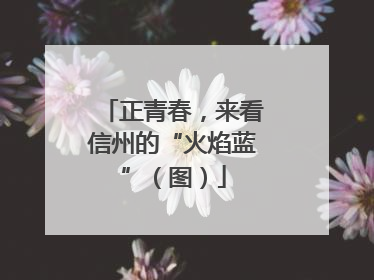 正青春，来看信州的“火焰蓝”（图）