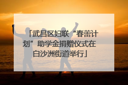 武昌区妇联“春蕾计划”助学金捐赠仪式在白沙洲街道举行