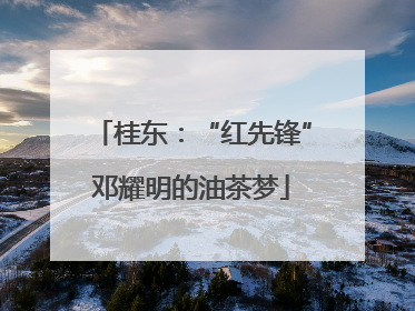 桂东：“红先锋”邓耀明的油茶梦
