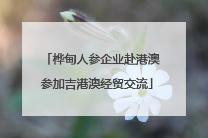 桦甸人参企业赴港澳参加吉港澳经贸交流