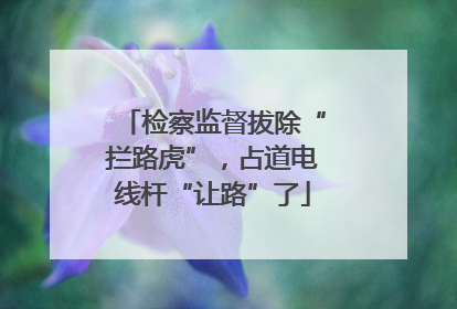 检察监督拔除“拦路虎”，占道电线杆“让路”了