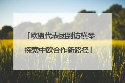 欧盟代表团到访横琴 探索中欧合作新路径