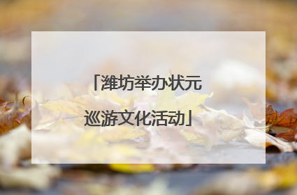 潍坊举办状元巡游文化活动