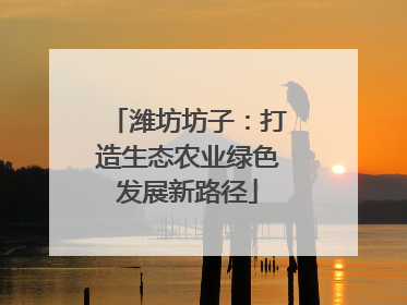 潍坊坊子：打造生态农业绿色发展新路径