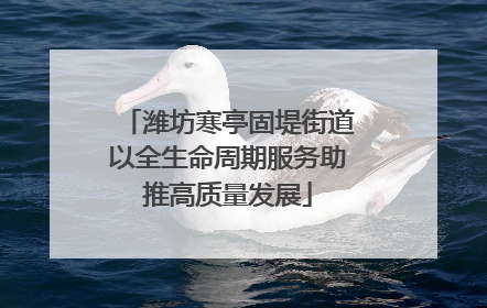 潍坊寒亭固堤街道以全生命周期服务助推高质量发展