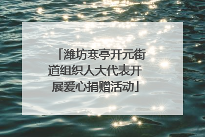 潍坊寒亭开元街道组织人大代表开展爱心捐赠活动