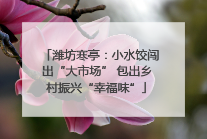 潍坊寒亭：小水饺闯出“大市场” 包出乡村振兴“幸福味”