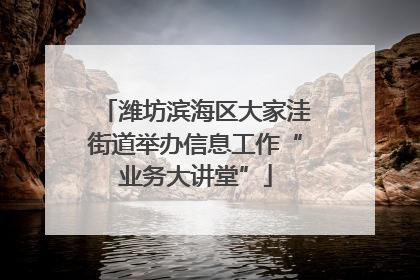 潍坊滨海区大家洼街道举办信息工作“业务大讲堂”