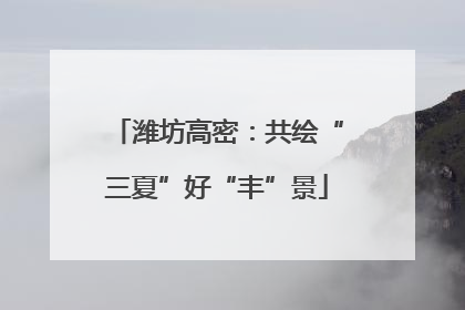 潍坊高密：共绘“三夏”好“丰”景