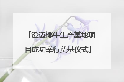 澄迈椰牛生产基地项目成功举行奠基仪式