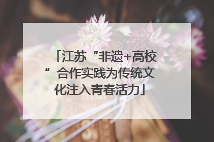 江苏“非遗+高校”合作实践为传统文化注入青春活力