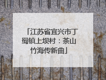 江苏省宜兴市丁蜀镇上坝村：茶山竹海传新曲