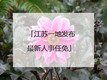 江苏一地发布最新人事任免