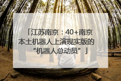 江苏南京：40+南京本土机器人上演现实版的“机器人总动员”