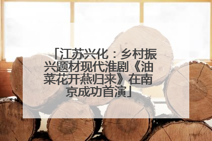 江苏兴化：乡村振兴题材现代淮剧《油菜花开燕归来》在南京成功首演