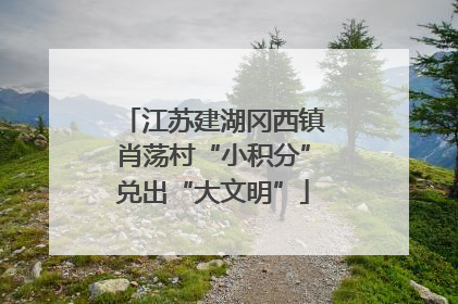 江苏建湖冈西镇肖荡村“小积分”兑出“大文明”