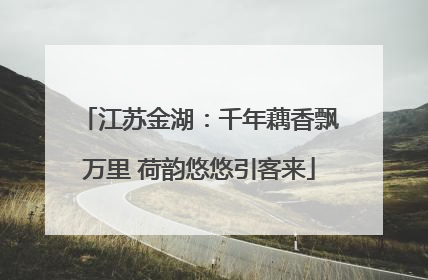 江苏金湖：千年藕香飘万里 荷韵悠悠引客来