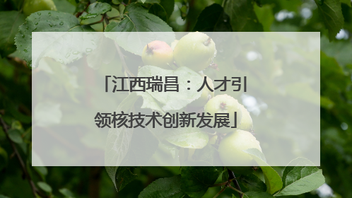 江西瑞昌：人才引领核技术创新发展