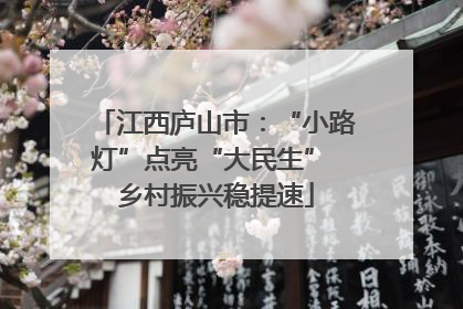 江西庐山市：“小路灯”点亮“大民生” 乡村振兴稳提速