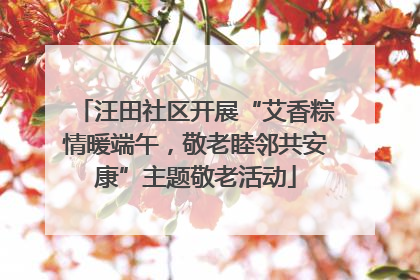 汪田社区开展“艾香粽情暖端午，敬老睦邻共安康”主题敬老活动