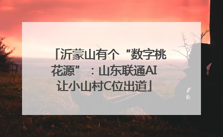 沂蒙山有个“数字桃花源”：山东联通AI让小山村C位出道