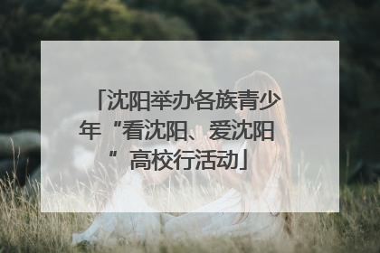 沈阳举办各族青少年“看沈阳、爱沈阳”高校行活动