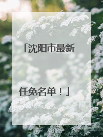 沈阳市最新任免名单！