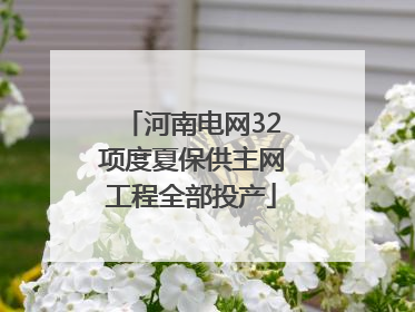 河南电网32项度夏保供主网工程全部投产