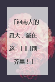河南人的夏天，藏在这一口口荆芥里！