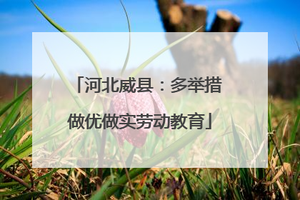 河北威县：多举措做优做实劳动教育
