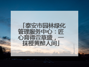 泰安市园林绿化管理服务中心：匠心育得萱草盛，一抹橙黄醉人间